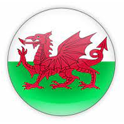 Wales Vs Fiji Tickets